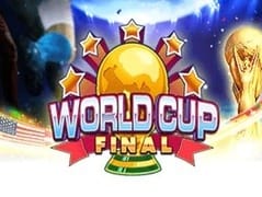 World Cup Final game cover